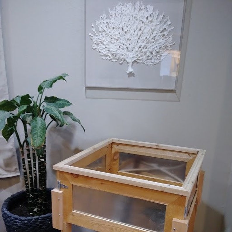Raised Cedar Garden Planter Box