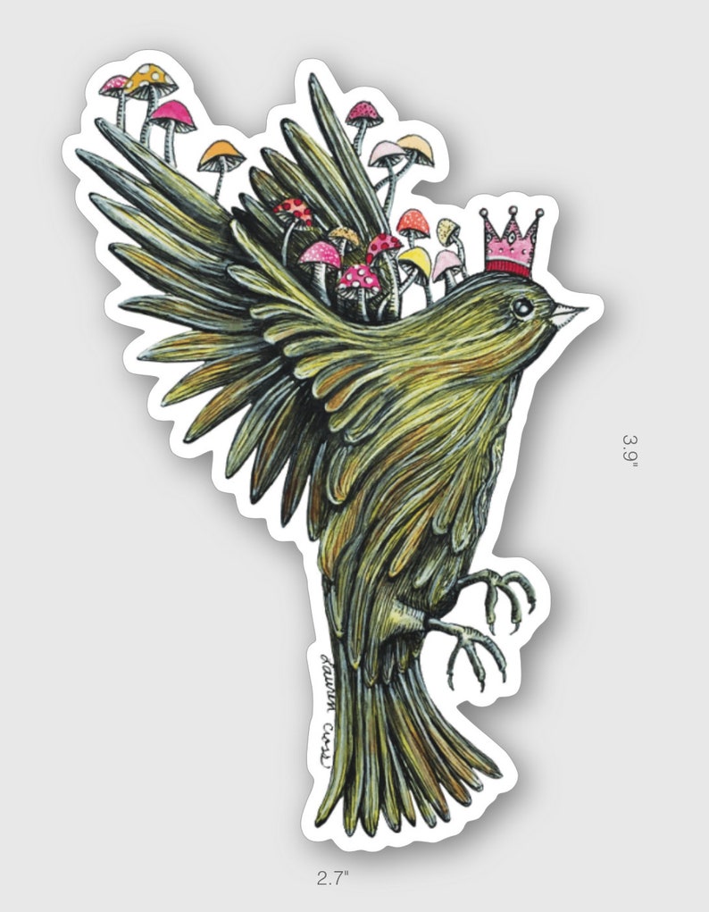 Vinyl Bird Sticker Illustration Sticker Bumper Sticker Waterproof Sticker Water Bottle Sticker Bird Sticker