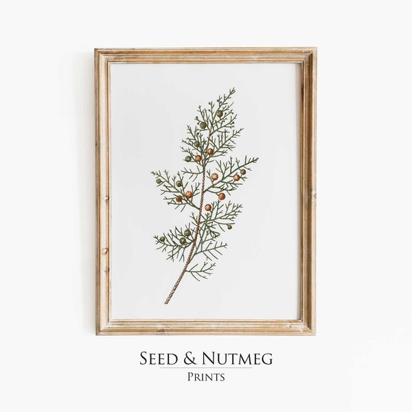 Juniper Home Decor Etsy