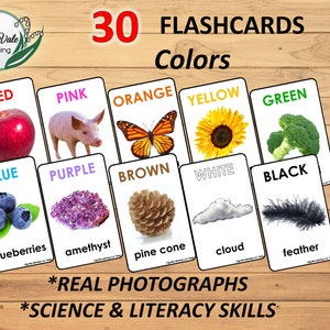Flashcards, Printable Flashcards, Flashcards for Kids, Flashcards digital, Nature Flashcards, COLOR FLASHCARDS, Color Flashcards Printable