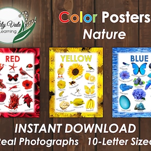 Apprentissage des couleurs, Décoration de salle de classe Montessori, Posters en couleur de la nature, Couleurs Montessori, Tableaux d'ancrage imprimables, Posters en couleur sur le thème de la nature