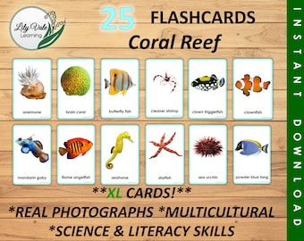 Flashcards, Printable Flashcards, Montessori Flashcard, Ocean Flashcard, Coral Reef Cards, Coral Reef Theme Preschool, CORAL REEF FLASHCARDS