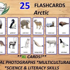 Polar Animals, Printable Flashcards, Arctic Animals, Montessori Flashcards, Arctic Animal Printable, ARCTIC ANIMAL FLASHCARDS, xl Flashcards