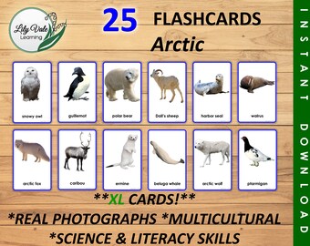 Polar Animals, Printable Flashcards, Arctic Animals, Montessori Flashcards, Arctic Animal Printable, ARCTIC ANIMAL FLASHCARDS, xl Flashcards