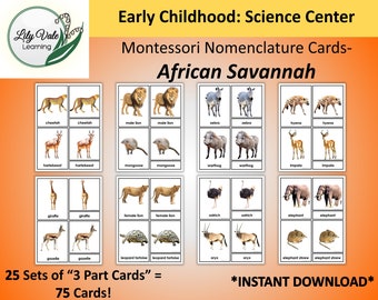 Printable Flashcards, Montessori Flashcards, AFRICAN ANIMALS PRINTABLE, Nomenclature Cards, Montessori Nomenclature Cards, African Animals