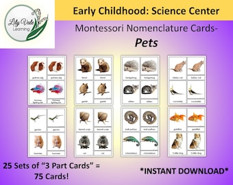 Printable Flashcards, Montessori Flashcards, Nomenclature Cards, Montessori Nomenclature Cards, Pet Theme Preschool, PETS Flashcards