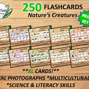 Afdrukbare Flashcards, Montessori Flashcards, Dieren Flashcards, Afdrukbare Dieren Flashcards, Afdrukbare Dieren Flashcard Bundel