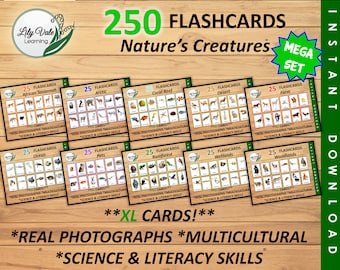 Printable Flashcards, Montessori Flashcards, Animal Flashcards, Printable Animal Flashcards, Printable Animal Flashcard Bundle