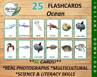 Printable Flashcards, Ocean Animal Printable, OCEAN ANIMAL FLASHCARDS, Ocean Flashcards, Circle Time Materials, Under the Sea Flashcards