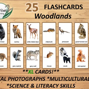 Woodland Animal Printable, Forest Animal Cards, Animal Learning Cards, Forest Animal Flashcards, WOODLAND ANIMAL FLASHCARDS, xl flashcards