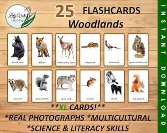 Woodland Animal Printable, Forest Animal Cards, Animal Learning Cards, Forest Animal Flashcards, WOODLAND ANIMAL FLASHCARDS, xl flashcards