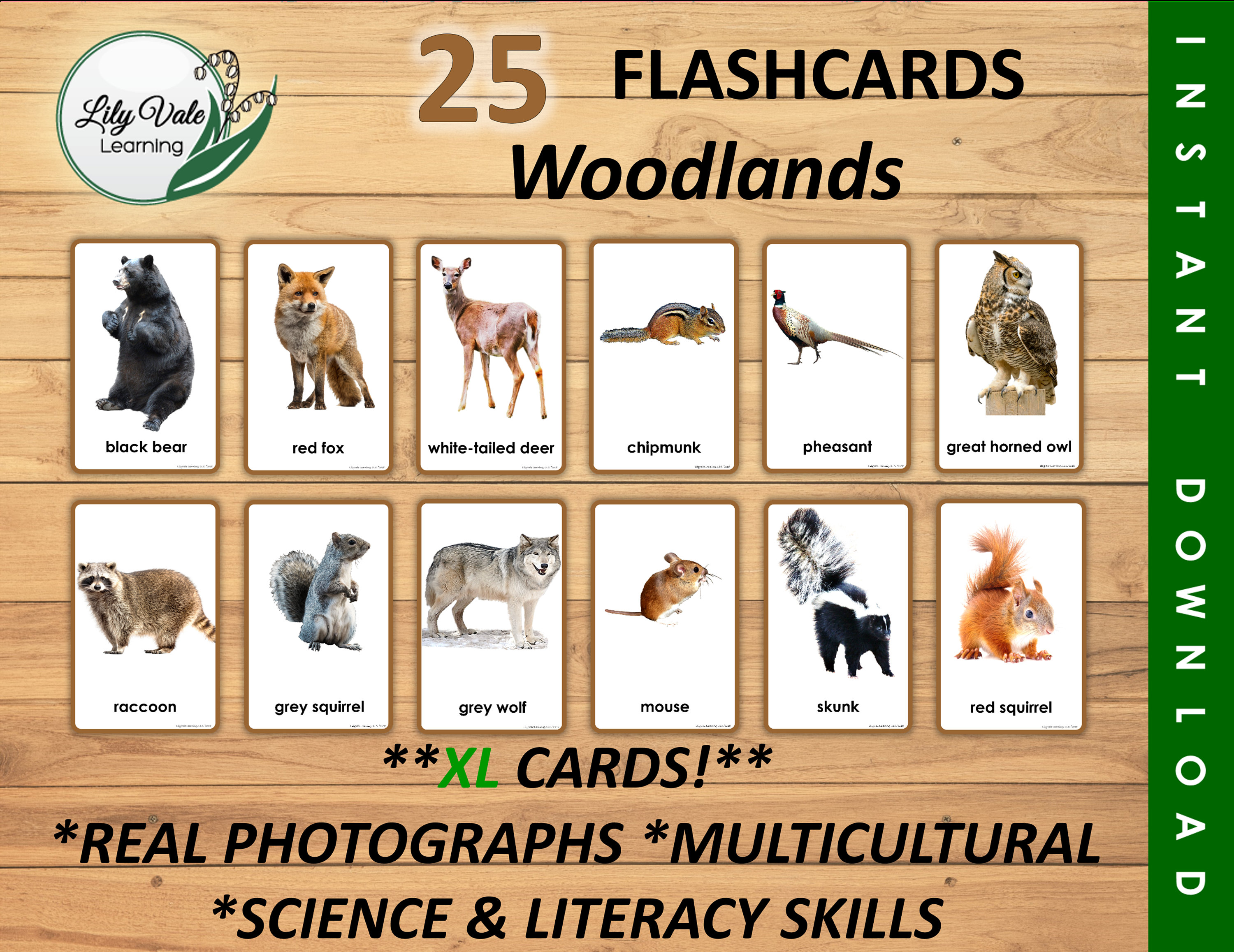 Woodland Animal Printable, Forest Animal Cards, Animal Learning Cards, Forest Animal Flashcards