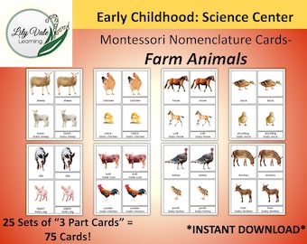 Printable Flashcards, Montessori Flashcards, Nomenclature Cards, Animal Flashcards, Montessori Nomenclature Cards, FARM ANIMAL FLASHCARDS