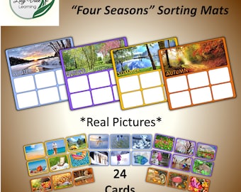 Four Seasons, Homeschool Science, Montessori Curriculum, Preschool Science, Sorting Activity, Kindergarten Science, Four Seasons Activity