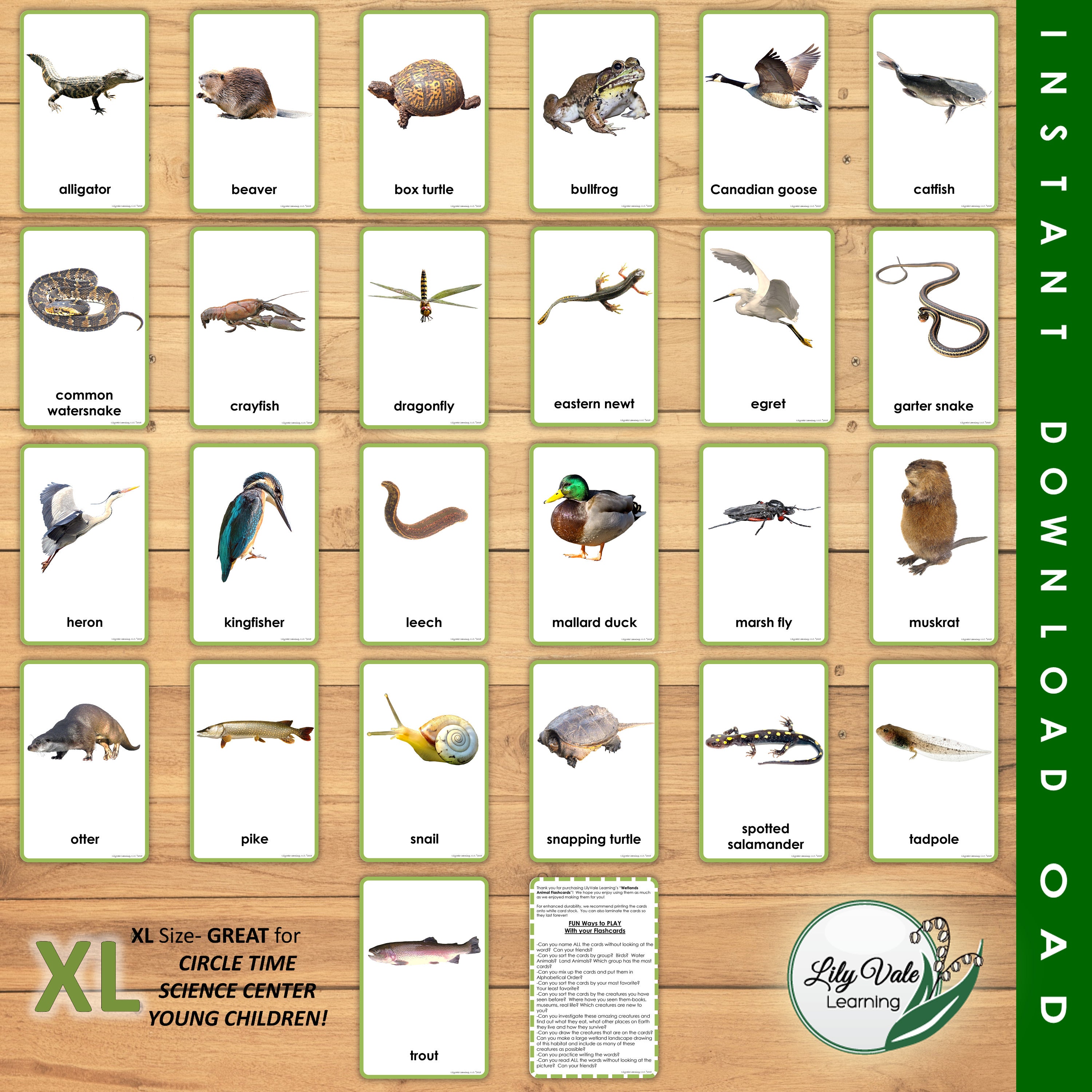 Printable Flashcards, Montessori Flashcards, Pond Animals, Animal ...
