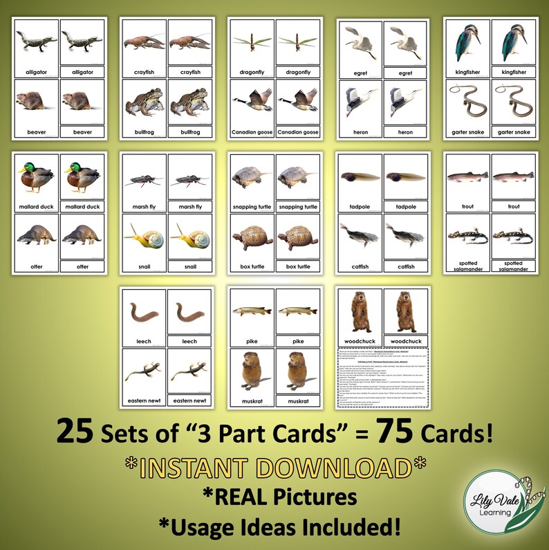 Printable Flashcards, Montessori Flashcards, POND ANIMALS, Nomenclature