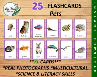 Flashcards, Printable Flashcards, Montessori Flashcards, Animal Learning Cards, Pet Theme Preschool, PETS FLASHCARDS, Pet Learning Cards