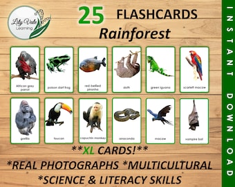 Flashcards, Printable Flashcard, Jungle Animal Card, Montessori Flashcard, Rainforest Animal, Animal Flashcard, RAINFOREST ANIMAL FLASHCARDS