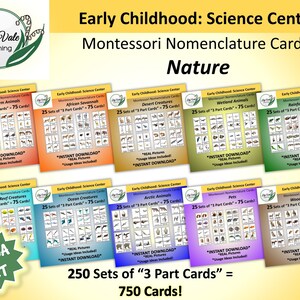 Printable Flashcards, Montessori Flashcards, Animal Flashcards, Nomenclature Cards, Montessori Nomenclature Cards, FLASHCARD BUNDLE
