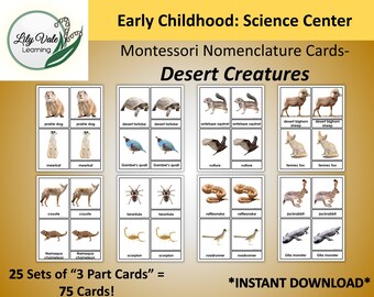 Printable Flashcards, Montessori Flashcard, Nomenclature Cards, Montessori Nomenclature Cards, DESERT ANIMAL Cards, Desert Animal Flashcards
