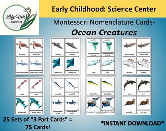 Printable Flashcards, OCEAN ANIMAL printable, Montessori Flashcard, Nomenclature Card, Montessori Nomenclature Cards, Ocean Animal Flashcard