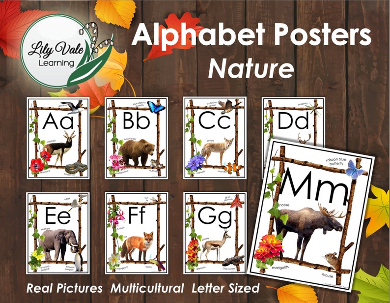 Montessori Abcs Classroom Decor Nature Posters Printable Alphabet Animal Alphabet Classroom Alphabet Nature Alphabet Nature Learning