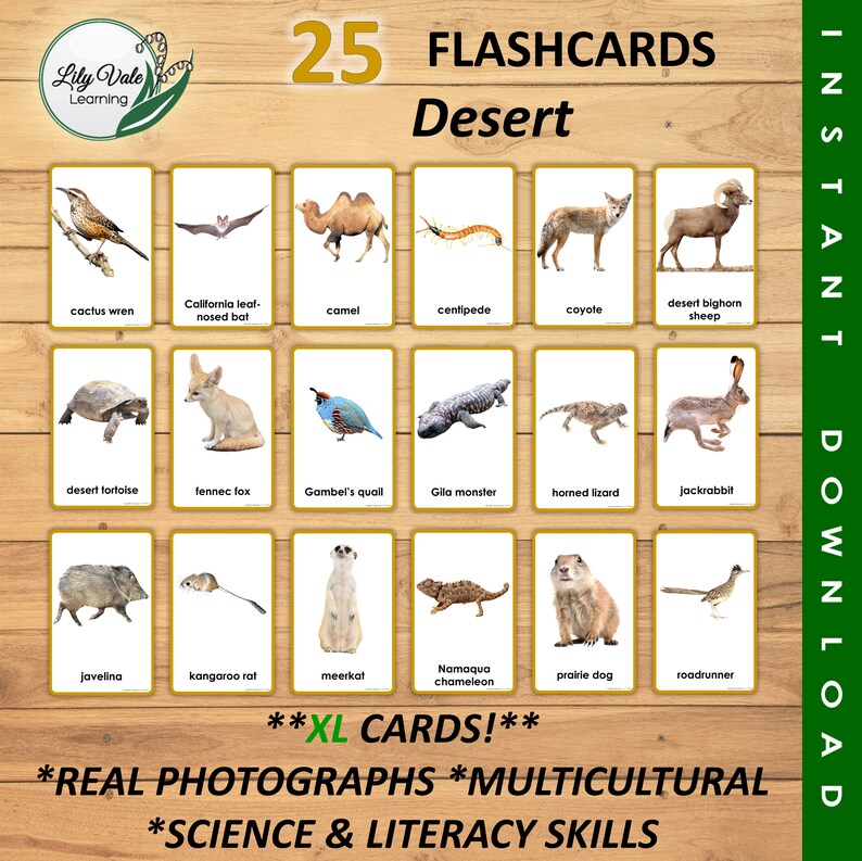 Flashcards, Printable Flashcard, Animal Learning Card, Desert Animal