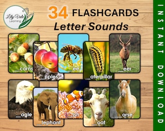 Flashcards, afdrukbare Flashcards, Flashcards voor kinderen, Montessori Alfabet, Phonics, Alfabet Flash Cards, Lettergeluiden, Phonics Flashcards