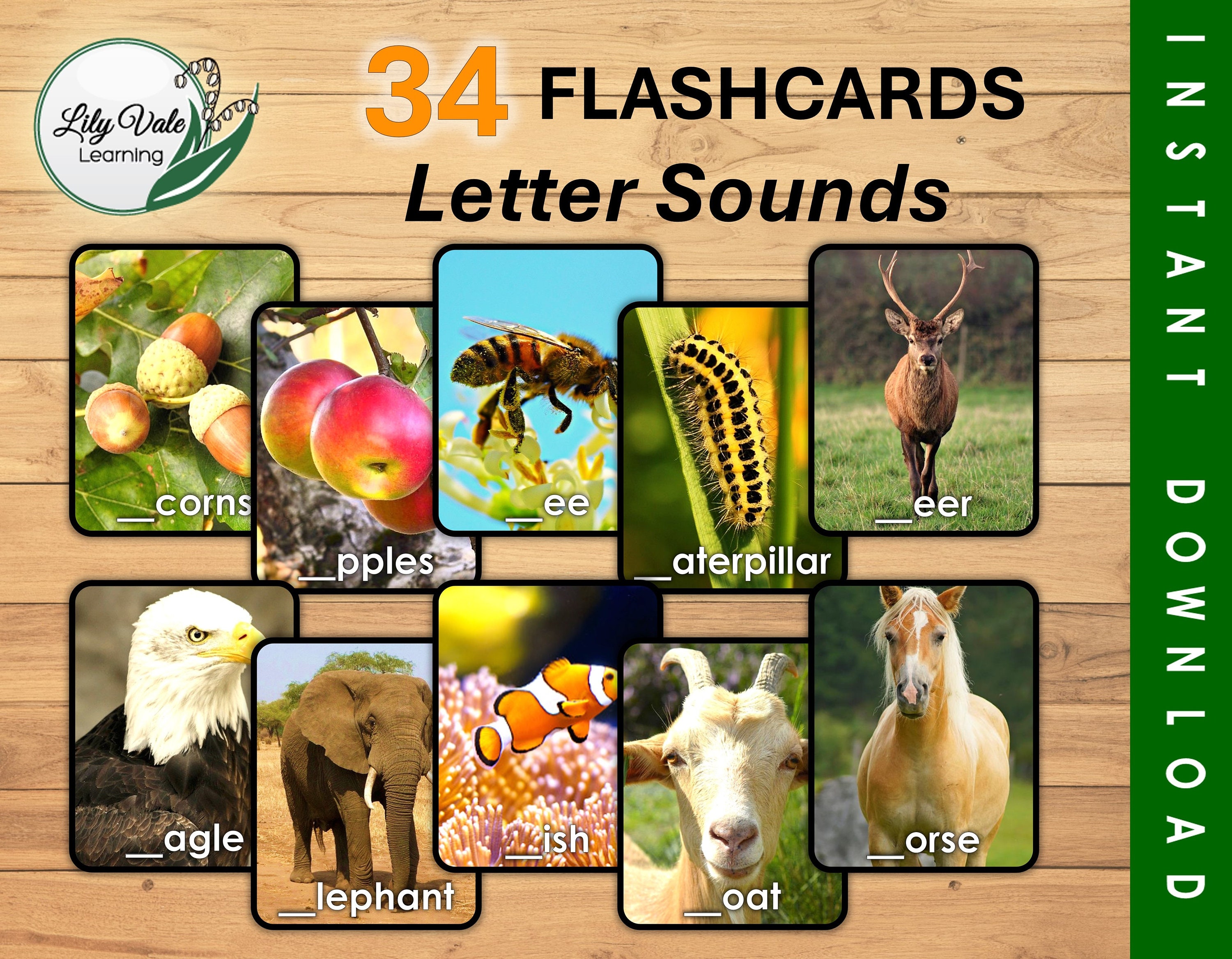 Flashcards, Printable Flashcards, Flashcards for Kids, Montessori ...