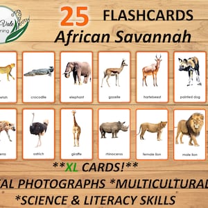 Cartes mémoire, Animaux d'Afrique à imprimer, Cartes d'apprentissage animaux, Cartes mémoire animaux d'Afrique, Cartes mémoire SAVANNE AFRICAINE