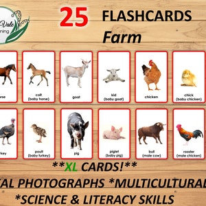 Farm Theme Printable, Farm Theme Cards, Animal Flashcards,  Farm Preschool Activity, Farm Animal Flashcards, Farm Theme Preschool