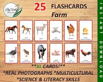 Farm Theme Printable, Farm Theme Cards, Animal Flashcards,  Farm Preschool Activity, Farm Animal Flashcards, Farm Theme Preschool