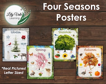 Montessori Decor, Classroom Decoration, Montessori Poster, Four Seasons, Homeschool Science, Montessori Science, Anchor Charts