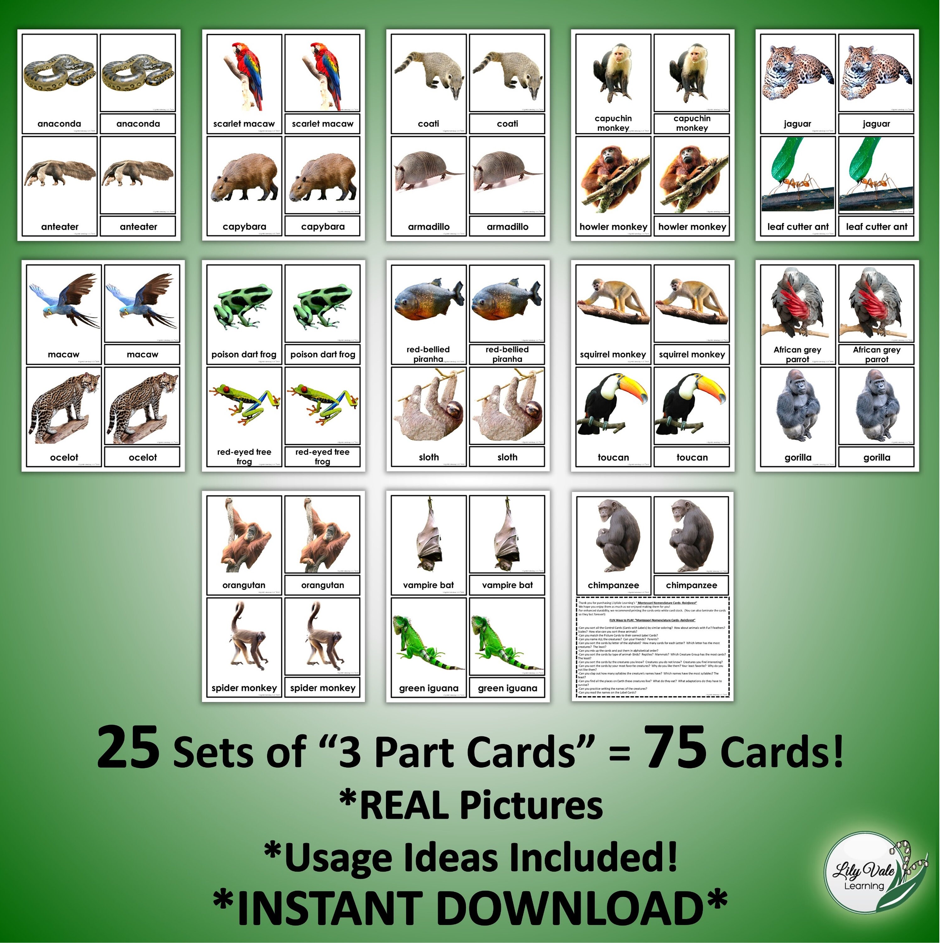 Printable Flashcards, JUNGLE Animal Cards, Montessori Flashcards