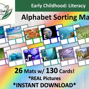 Preschool Alphabet, ABC Learning, Alphabet Activity, Montessori Alphabet, Sorting Activity, Alphabet Mat, Alphabet Matching Activity