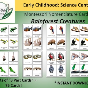 Printable Flashcards, JUNGLE Animal Cards, Montessori Flashcards, RAINFOREST Animals, Nomenclature Cards, Montessori Nomenclature Cards