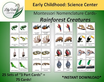 Printable Flashcards, JUNGLE Animal Cards, Montessori Flashcards, RAINFOREST Animals, Nomenclature Cards, Montessori Nomenclature Cards