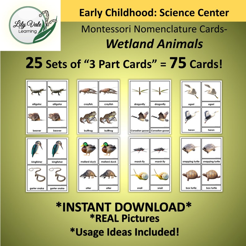 Printable Flashcards, Montessori Flashcards, POND ANIMALS, Nomenclature