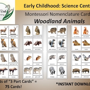 BOS DIERENKAARTEN, Bosdierenkaarten, Montessori Flashcards, Nomenclatuurkaarten, Bosdieren Flashcards, Bosdier Flashcards