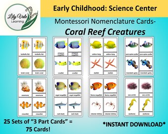 Printable Flashcards, Montessori Flashcards, Nomenclature Cards, Montessori Nomenclature Cards, CORAL REEF Cards, Coral Reef Flashcards
