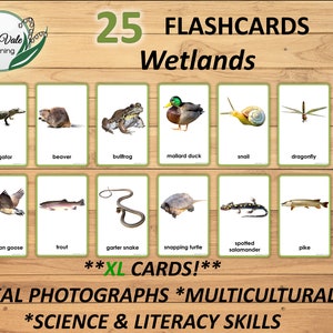 Printable Flashcards, Montessori Flashcards, Pond Animals, Animal Learning Cards, Wetland Animals, WETLAND ANIMAL FLASHCARDS, xl Flashcards