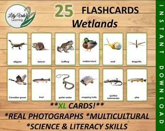 Printable Flashcards, Montessori Flashcards, Pond Animals, Animal Learning Cards, Wetland Animals, WETLAND ANIMAL FLASHCARDS, xl Flashcards