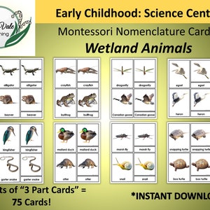 Printable Flashcards, Montessori Flashcards, POND ANIMALS, Nomenclature Cards, Montessori Nomenclature Cards, WETLAND Animals Flashcards