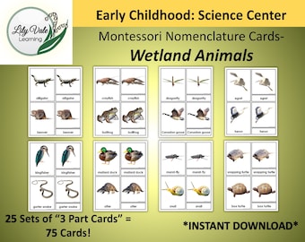 Printable Flashcards, Montessori Flashcards, POND ANIMALS, Nomenclature Cards, Montessori Nomenclature Cards, WETLAND Animals Flashcards