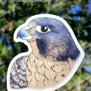 Peregrine Falcon Vinyl Sticker 3&quot; - Original Fantasy Wildlife Wild Bird Art