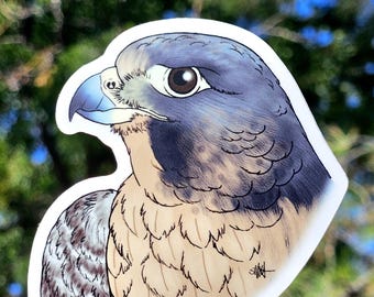 Peregrine Falcon Vinyl Sticker 3" - Original Fantasy Wildlife Wild Bird Art