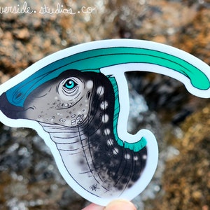 Parasaurolophus Vinyl Sticker 3&quot; - Original Dinosaur Paleoart
