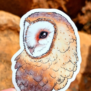 Barn Owl Vinyl Sticker 3&quot; - Original Fantasy Wildlife Wild Bird Art