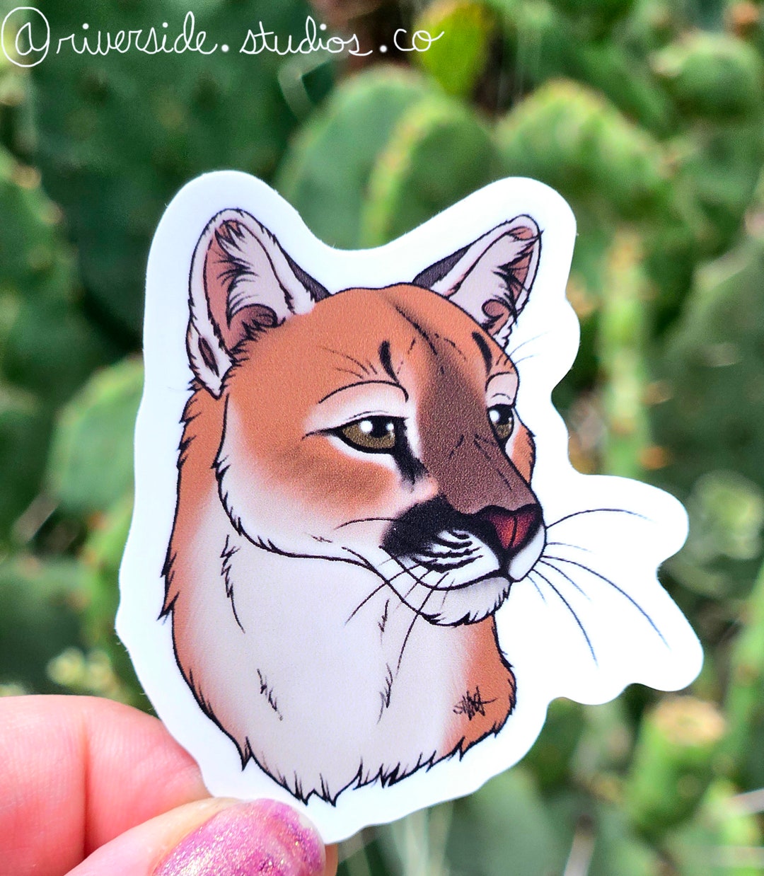 Mountain Lion Puma Cougar Vinyl Sticker 2