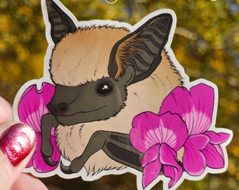 Canyon Bat adesivo in vinile 3" arte originale Colorado Flower